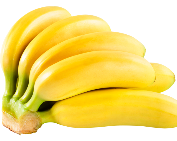 bnBabybananas1500x1000_01