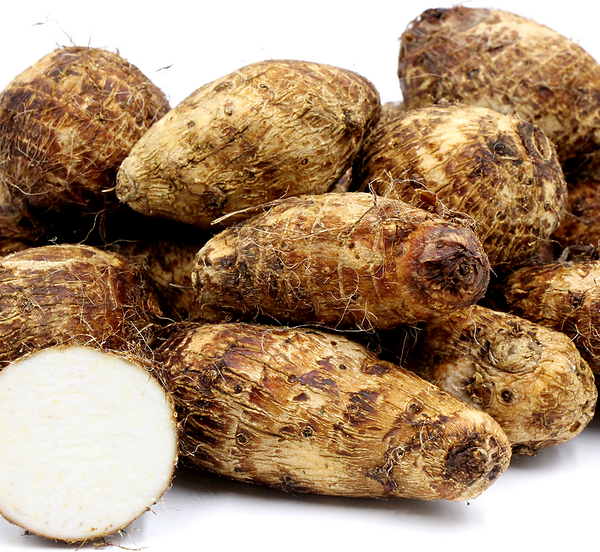 malanga